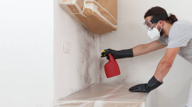 Professional Mold Cleanup technician working in Long Beach, NY